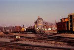 SBD 558 switches the yard on a bright Saturday morning